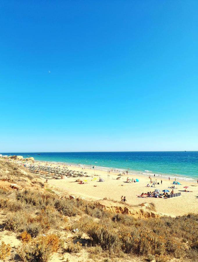 Apartamento Tropicana *