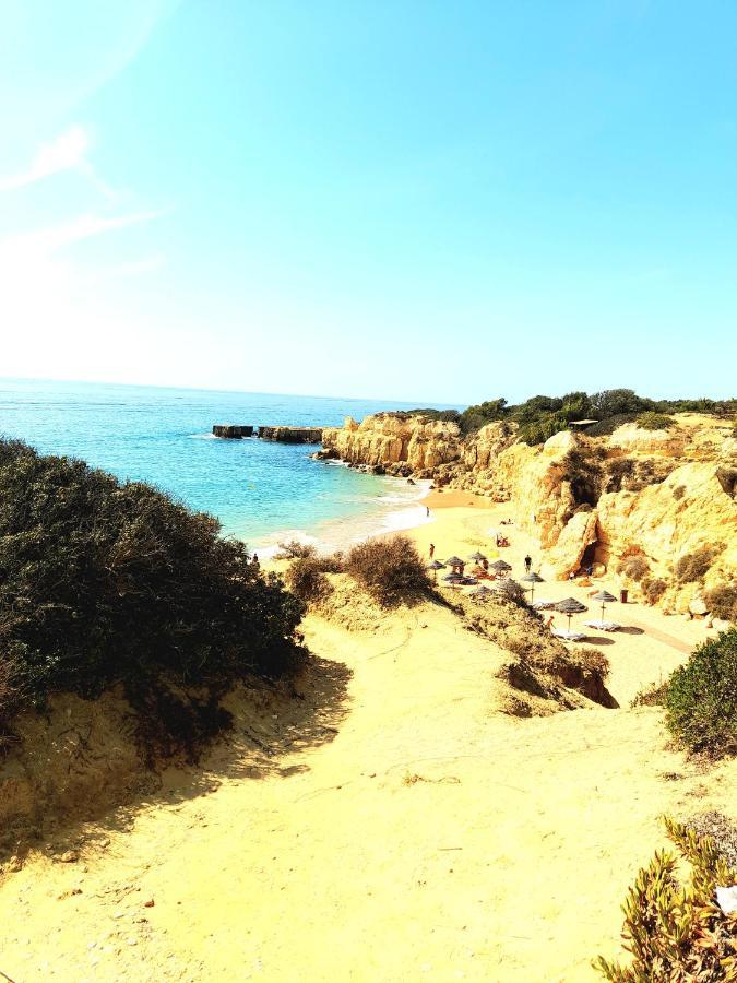 Appartement Tropicana One Bedroom Flat T1 With Garden Close To 8 Beaches